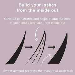 Neutrogena Healthy Volume Lash-Plumping Mascara, Volumizing and Conditioning Mascara with Olive Oil to Build Fuller Lashes, Clump-, Smudge- and Flake-Free, Black 02, 0.21 oz (Pack of 2)
